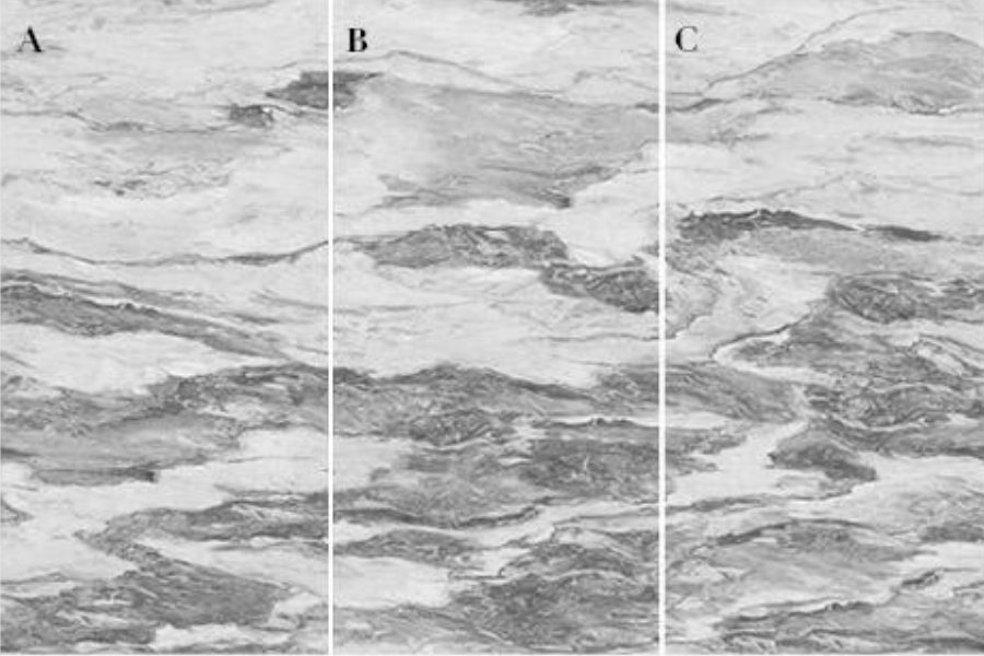 1632TRS 778 FERTILE MILES 1