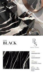 ZS160320 070 FOSSIL BLACK