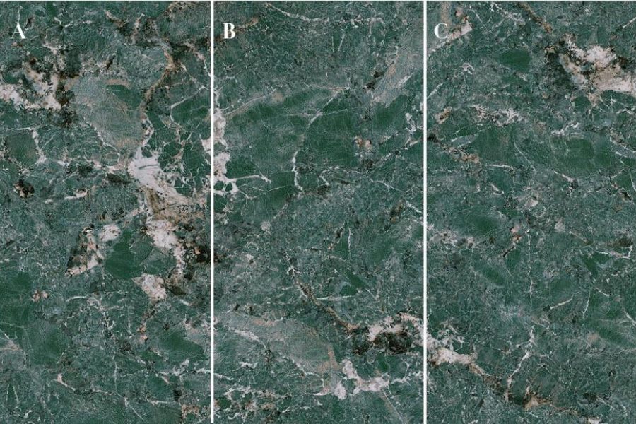 ZS160320 221 CENTURY MAGNOLIA 1