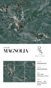 ZS160320 221 CENTURY MAGNOLIA