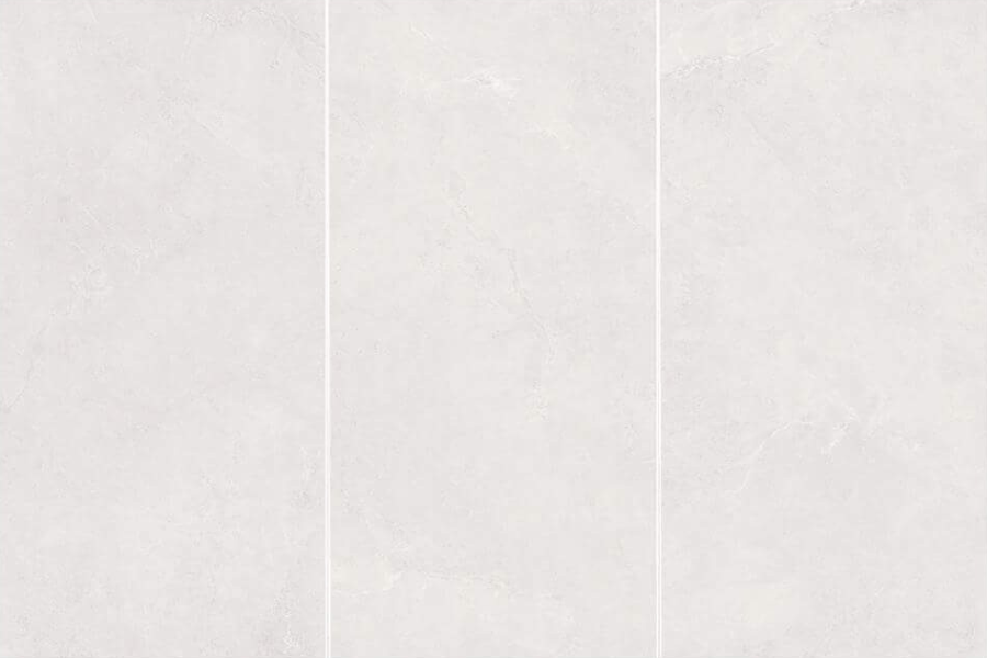 9BM9018 157 MINOS SHALLOW RICE