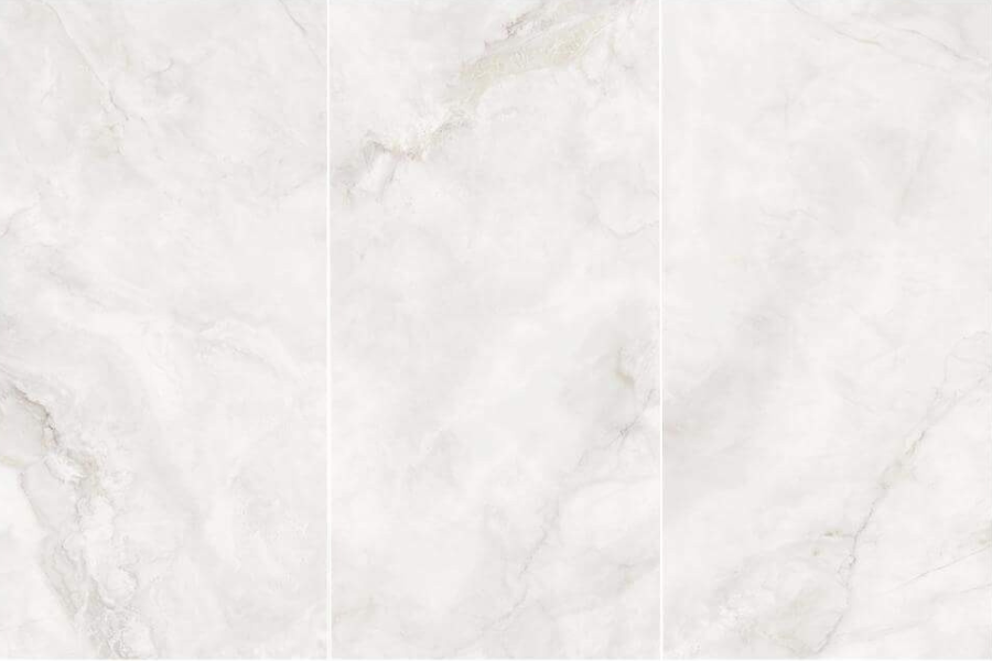 9BM9018 163 RICKAS ASH