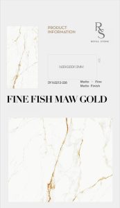 FINE FISH MAW GOLD DY163212 228
