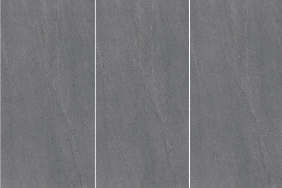 ANDEAN DARK GRAY SANDSTONE DY163212 248