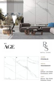 PTG918L25 ICE AGE