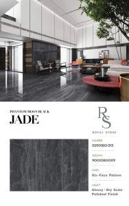 ZS90180 313 PHANTOM MOON BLACK JADE