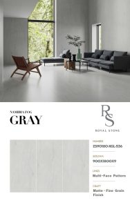 ZS90180 XGL 536 NAMIBIA FOG GRAY