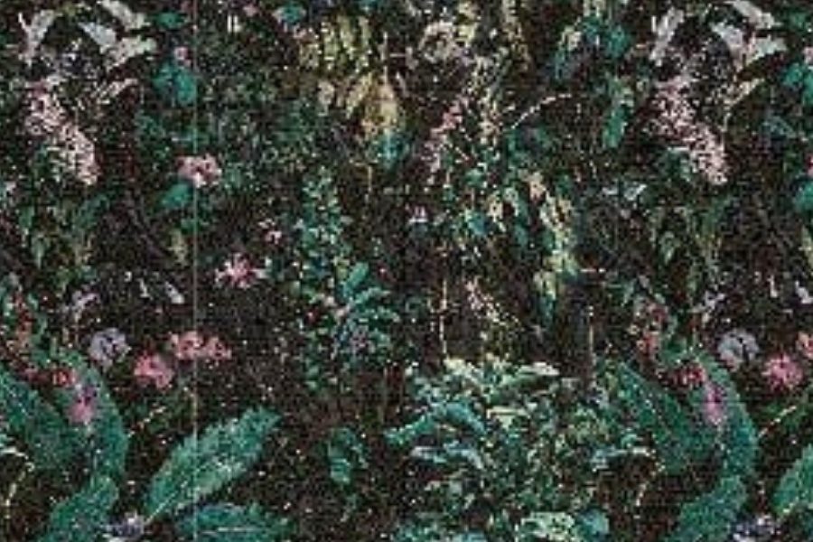 GD82609 HG 128 JUNGLE GRASS DEEP GREEN 1