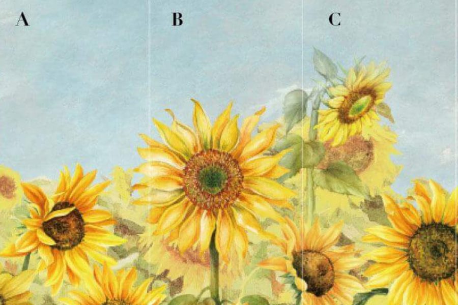 GD82609 SY 181 BORN TO THE SUN