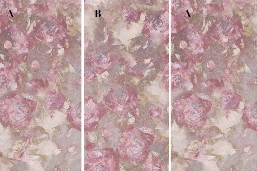 GD82609 ZF 41 FRENCH ROSE