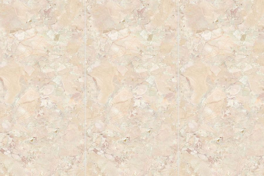 MONETS GARDEN DY163212 243