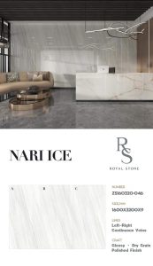 ZS160320 046 NARI ICE
