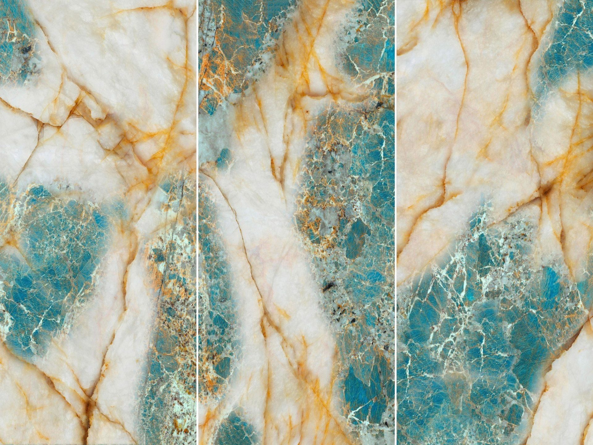 CY122709TG6268X AMAZON ONYX 1